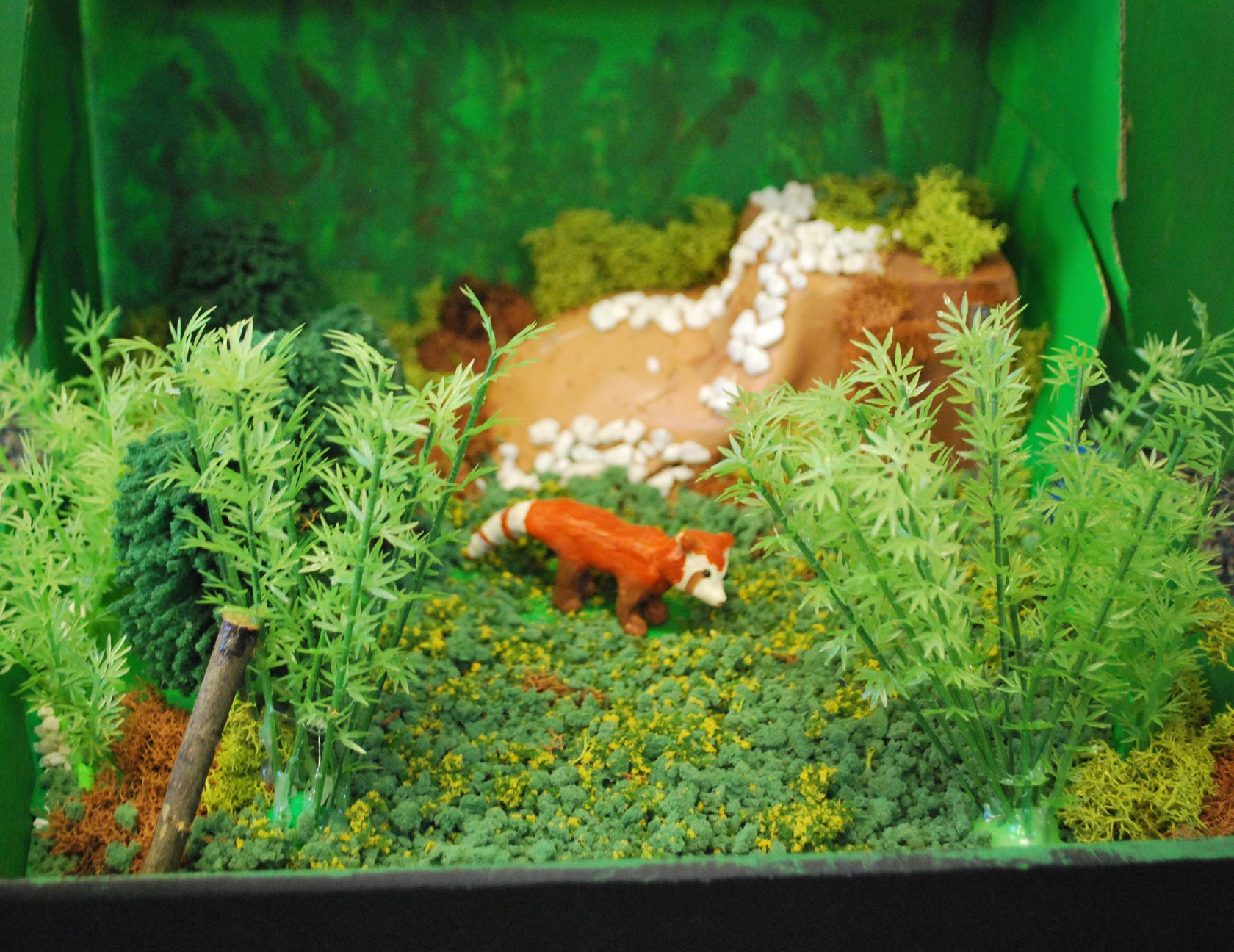 7th Grade Animal Habitat Models - Trinity School At Meadow View